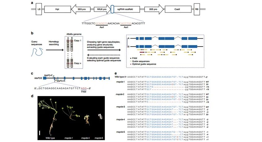 七撥手（罐型件）